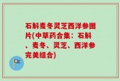 石斛麦冬灵芝西洋参图片(中草药合集：石斛、麦冬、灵芝、西洋参完美组合)