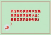 灵芝的形状图片大全集高清图高清图片大全：看看灵芝的各种形状！)