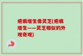 疤痕增生像灵芝(疤痕增生——灵芝相似的外观奇观)