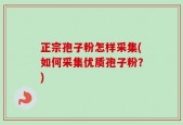 正宗孢子粉怎样采集(如何采集优质孢子粉？)