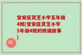 宝安区灵芝小学五年级4班(宝安区灵芝小学5年级4班的班级故事)