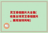 灵芝香烟图片大全集(收集全球灵芝香烟图片，展现独特风味)