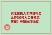 灵芝蟹能人工养殖吗怎么养(如何人工养殖灵芝蟹？养殖技巧详解)