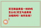 灵芝跟桑黄是一样的吗怎么吃(灵芝与桑黄用法相同吗？如何食用？)