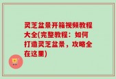 灵芝盆景开箱视频教程大全(完整教程：如何打造灵芝盆景，攻略全在这里)