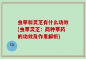 虫草和灵芝有什么功效(虫草灵芝：两种草药的功效及作用解析)