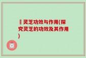 砱灵芝功效与作用(探究灵芝的功效及其作用)