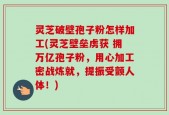 灵芝破壁孢子粉怎样加工(灵芝壁垒虏获 拥万亿孢子粉，用心加工密战炼就，提振受颤人体！)