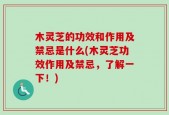 木灵芝的功效和作用及禁忌是什么(木灵芝功效作用及禁忌，了解一下！)