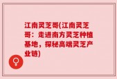 江南灵芝哥(江南灵芝哥：走进南方灵芝种植基地，探秘高端灵芝产业链)