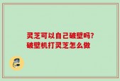 灵芝可以自己破壁吗？破壁机打灵芝怎么做