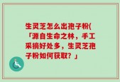 生灵芝怎么出孢子粉(「源自生命之林，手工采摘好处多，生灵芝孢子粉如何获取？」