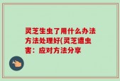 灵芝生虫了用什么办法方法处理好(灵芝遭虫害：应对方法分享