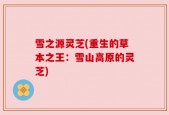 雪之源灵芝(重生的草本之王：雪山高原的灵芝)