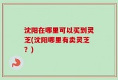 沈阳在哪里可以买到灵芝(沈阳哪里有卖灵芝？)