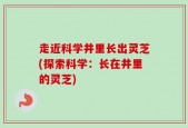 走近科学井里长出灵芝(探索科学：长在井里的灵芝)