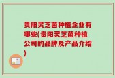 贵阳灵芝菌种植企业有哪些(贵阳灵芝菌种植公司的品牌及产品介绍)