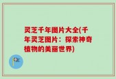 灵芝千年图片大全(千年灵芝图片：探索神奇植物的美丽世界)