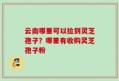 云南哪里可以捡到灵芝孢子？哪里有收购灵芝孢子粉