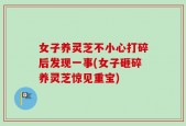 女子养灵芝不小心打碎后发现一事(女子砸碎养灵芝惊见重宝)