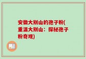 安徽大别山的孢子粉(重温大别山：探秘孢子粉奇观)