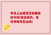 梦见上山摘灵芝和蘑菇好不好(登高采药，奇珍异味尽在山林)