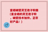 富硒破壁灵芝孢子粉图(富含硒的灵芝孢子粉，破壁技术加持，正宗好产品！)