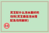 灵芝配什么泡水最好的功效(灵芝最佳泡水搭配及功效解析)