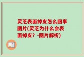 灵芝表面掉皮怎么回事图片(灵芝为什么会表面掉皮？-图片解析)