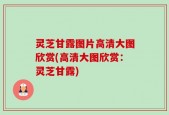 灵芝甘露图片高清大图欣赏(高清大图欣赏：灵芝甘露)