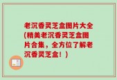 老沉香灵芝盒图片大全(精美老沉香灵芝盒图片合集，全方位了解老沉香灵芝盒！)