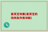 紫灵芝效果(紫灵芝的功效及作用详解)