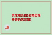 灵芝姐云南(云南出现神奇的灵芝姐)