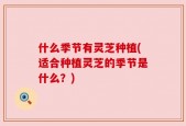 什么季节有灵芝种植(适合种植灵芝的季节是什么？)