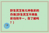 野生灵芝有几种色彩的作用(野生灵芝不同色彩功效不一，你了解吗？)