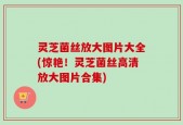 灵芝菌丝放大图片大全(惊艳！灵芝菌丝高清放大图片合集)
