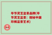 毕节灵芝盆景品牌(毕节灵芝盆景：探秘中国珍稀盆景艺术)