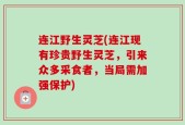 连江野生灵芝(连江现有珍贵野生灵芝，引来众多采食者，当局需加强保护)