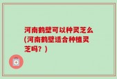 河南鹤壁可以种灵芝么(河南鹤壁适合种植灵芝吗？)