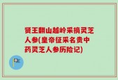 贤王翻山越岭采摘灵芝人参(皇帝征采名贵中药灵芝人参历险记)