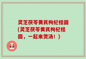 灵芝茯苓黄芪枸杞桂圆(灵芝茯苓黄芪枸杞桂圆，一起来煲汤！)