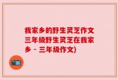 我家乡的野生灵芝作文三年级野生灵芝在我家乡 - 三年级作文)