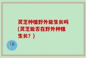 灵芝种植野外能生长吗(灵芝能否在野外种植生长？)