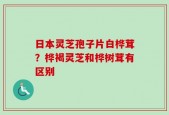 日本灵芝孢子片白桦茸？桦褐灵芝和桦树茸有区别