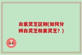 白紫灵芝区别(如何分辨白灵芝和紫灵芝？)