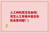人工种的灵芝生虫吗(灵芝人工养殖中是否存在虫害问题？)