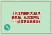 焄灵芝的图片大全(焕新肌肤，从灵芝开始！——焕灵芝美肤图鉴)