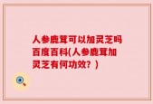 人参鹿茸可以加灵芝吗百度百科(人参鹿茸加灵芝有何功效？)