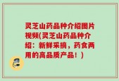 灵芝山药品种介绍图片视频(灵芝山药品种介绍：新鲜采摘，药食两用的高品质产品！)