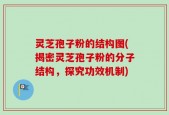 灵芝孢子粉的结构图(揭密灵芝孢子粉的分子结构，探究功效机制)